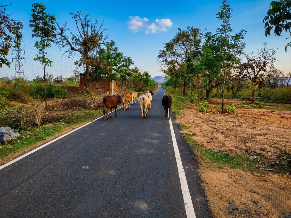 Paved internal roads inside Bajrang Dham township